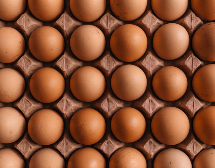 Jajka — popularny produkt w zbilansowanej diecie